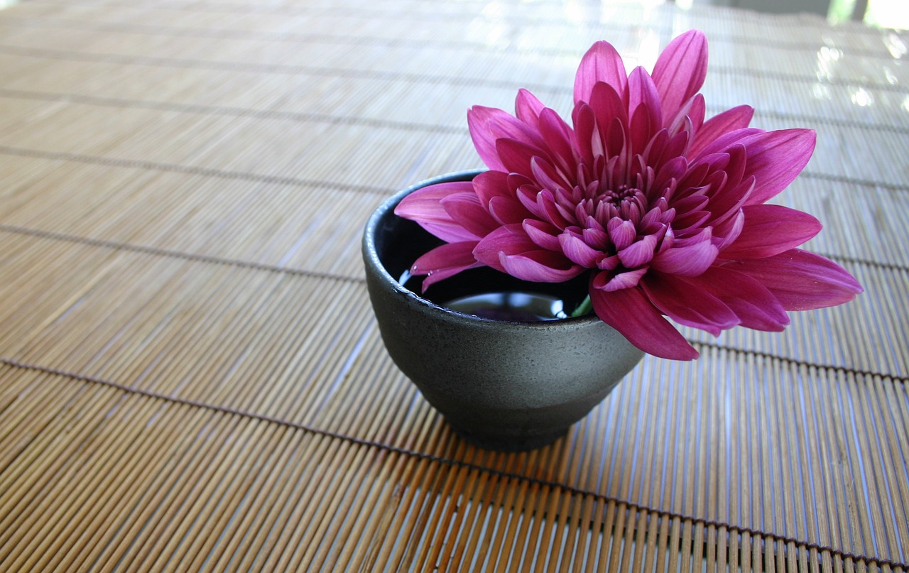 chrysanthemum, bamboo curtain, japanese-style-757439.jpg